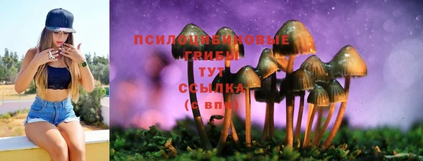 дмт Володарск