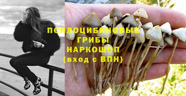 MESCALINE Волосово