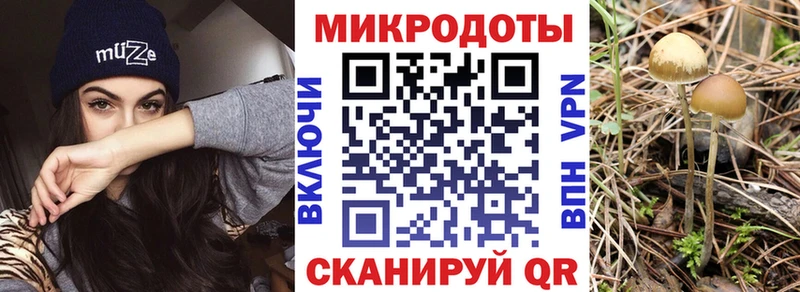 omg зеркало  цены   Астрахань  Галлюциногенные грибы Magic Shrooms 